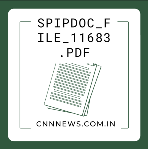 spipdoc_file_11683.pdf